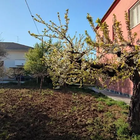 بيت ضيافة Animabruzzo